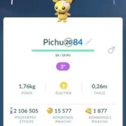 Pichu Couronne De Fleurs Non Shiny IOS & ANDROID (Предмет)