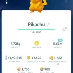 Shiny new year hat pikachu level 1 xxl (Предмет)