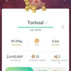 Shiny Torkoal (Предмет)