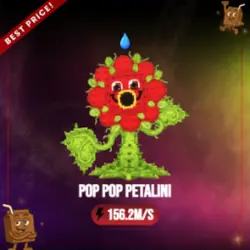 Pop Pop Petalini 156.2M s (Секретный персонаж)