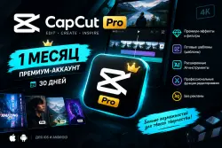 CAPCUT PRO 1 МЕСЯЦ | ПРЕМИУМ-АККАУНТ | 30 ДНЕЙ