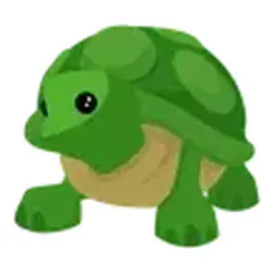 Turtle ADM Adopt Me