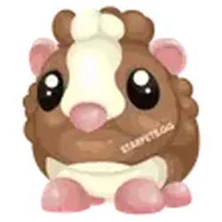 Chocolate Dutch Guinea Pig GAG2 Grow a Garden 2