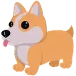 Corgi ADM Adopt Me