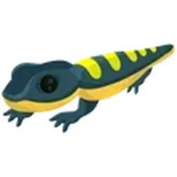 Salamander ADM Adopt Me