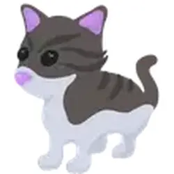 Persian Cat ADM Adopt Me