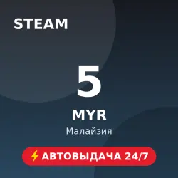 Steam Wallet 5 MYR (Малайзия) Автовыдача 24/7