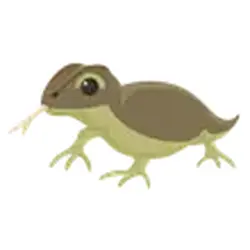 Komodo Dragon ADM Adopt Me