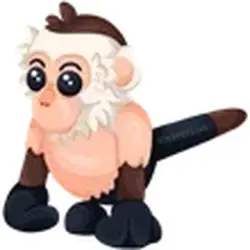 Capuchin Monkey ADM Adopt Me