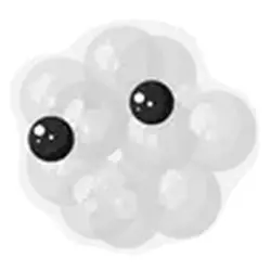 Frogspawn ADM Adopt Me