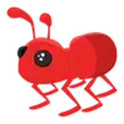 Ant ADM Adopt Me