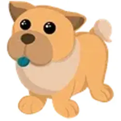 Tan Chow-Chow ADM Adopt Me