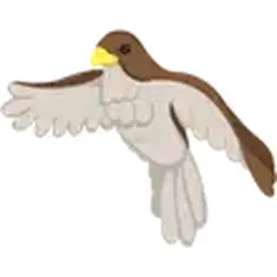 Hawk ADM Adopt Me