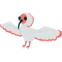Ibis ADM Adopt Me