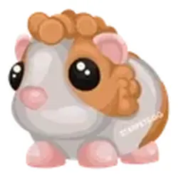 Red Dutch Guinea Pig ADM Adopt Me