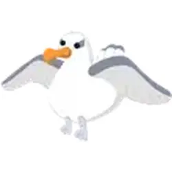 Albatross ADM Adopt Me