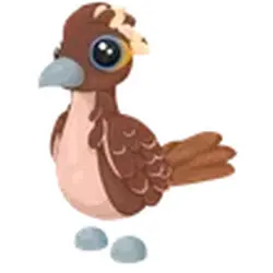 Roadrunner ADM Adopt Me