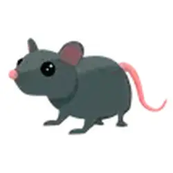 Rat ADM Adopt Me