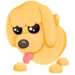 Toy Poodle ADM Adopt Me