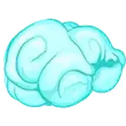 Flying Cloud ADM Adopt Me