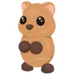Quokka ADM Adopt Me