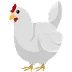 Chicken ADM Adopt Me