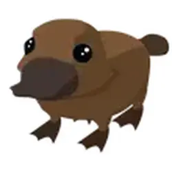 Platypus ADM Adopt Me