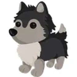 Husky ADM Adopt Me