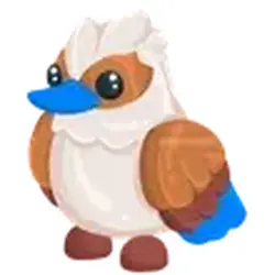 Kookaburra ADM Adopt Me