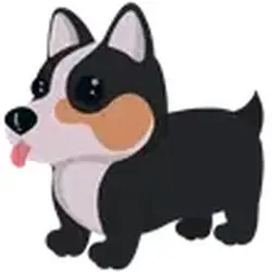 Royal Corgi ADM Adopt Me