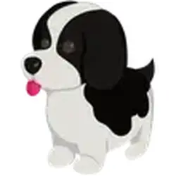 Black Springer Spaniel ADM Adopt Me
