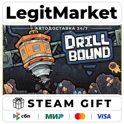 Drillbound / Steam АВТО / РУ + МИР
