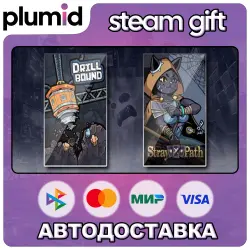 Drillbound & Stray Path Steam Gift / Россия + МИР / АВТО