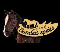 My Horse: Bonded Spirits РФ+СНГ+ВЕСЬ МИР Steam КЛЮЧ