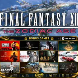 [ПАКЕТ] FINAL FANTASY XII + FINAL FANTASY XIII-2