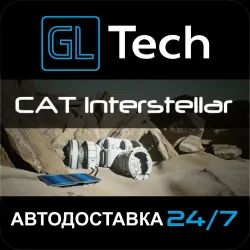 CAT Interstellar АВТОДОСТАВКА Steam GIFT