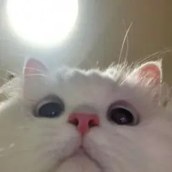 123