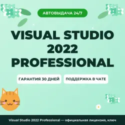 Visual Studio 2022 Professional — официальная лицензия, ключ