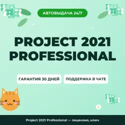 Project 2021 Professional — лицензия, ключ