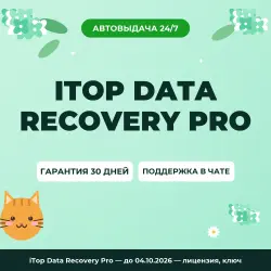 iTop Data Recovery Pro — до 04.10.2026 — лицензия, ключ
