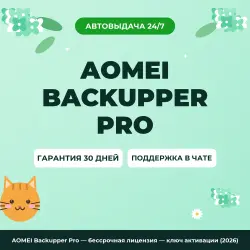 AOMEI Backupper Pro — бессрочная лицензия — ключ активации (2026)