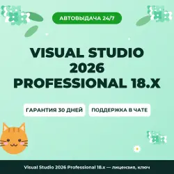 Visual Studio 2026 Professional 18.х — лицензия, ключ