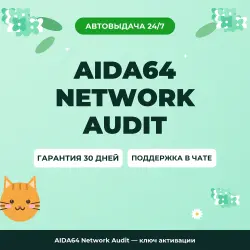 AIDA64 Network Audit — ключ активации