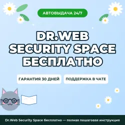 Dr.Web Security Space бесплатно — полная пошаговая инструкция