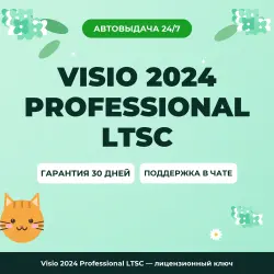 Visio 2024 Professional LTSC — лицензионный ключ