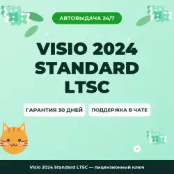 Visio 2024 Standard LTSC — лицензионный ключ