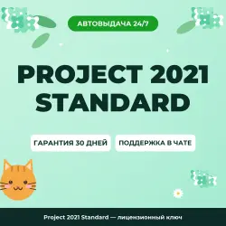 Project 2021 Standard — лицензионный ключ