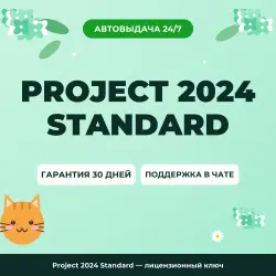 Project 2024 Standard — лицензионный ключ