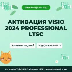 Активация Visio 2024 Professional LTSC — лицензионный ключ