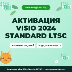 Активация Visio 2024 Standard LTSC — лицензионный ключ